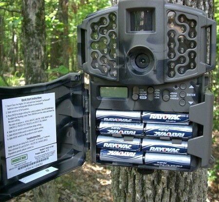 Batteries In Moultrie Game Spy Trail Camera