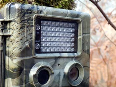 Trail camera flash.