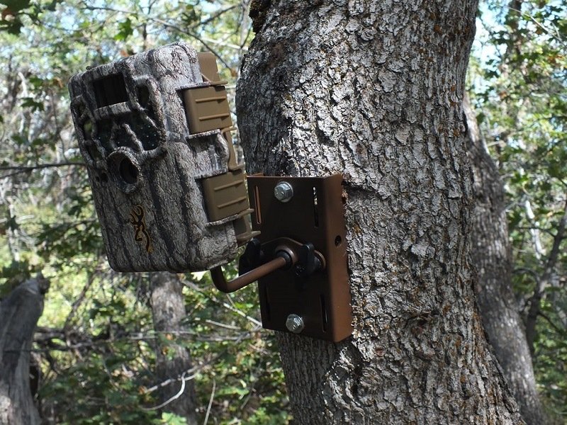 Everything You Should Know About A Trail Camera